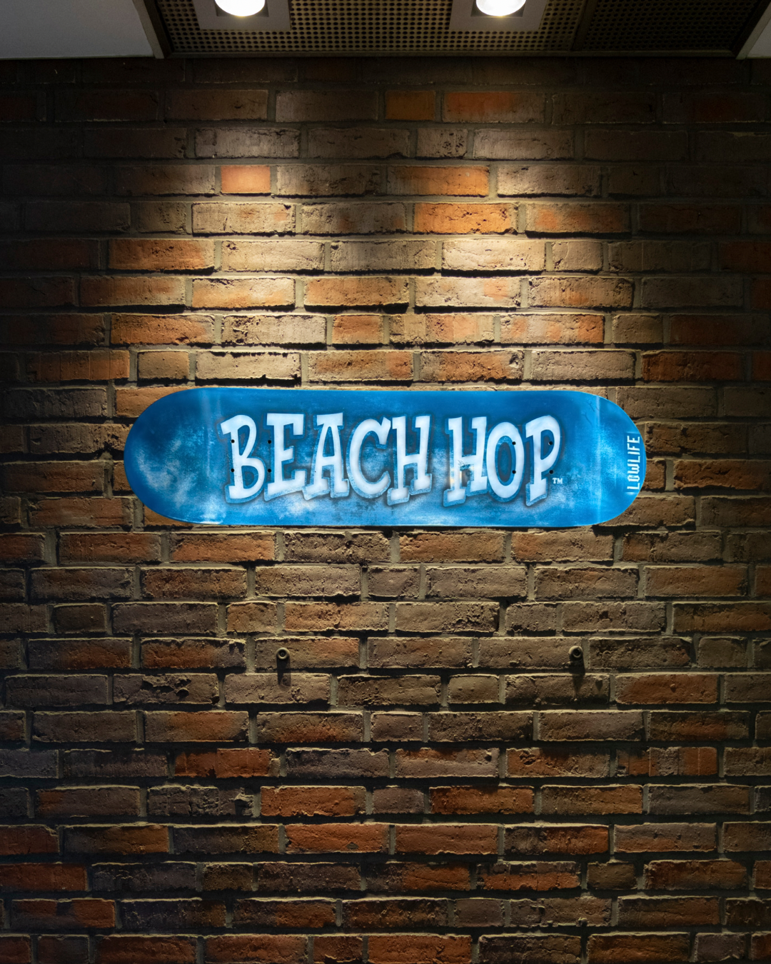 Blue & White Beach Hop Board